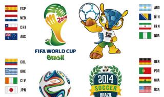 两次获得世界杯的巴西球员 巴西世界杯吉祥物